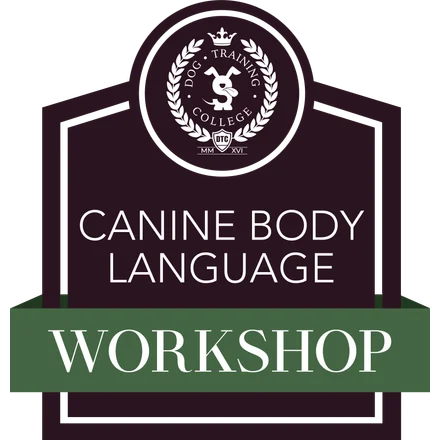 Canine Body Language Workshop badge from Dog Training College, Dog Paw Training Bolton